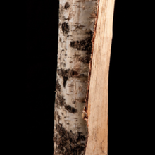 15 Sacs de Bois de Bouleau Sec – Bûches 25 cm – 8 kg par sac