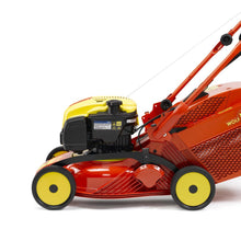 Tondeuse thermique WOLF-Garten RM41B